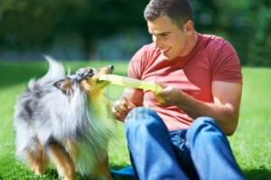 16615128-a-young-man-playing-with-his-dog-and-a-frisbee